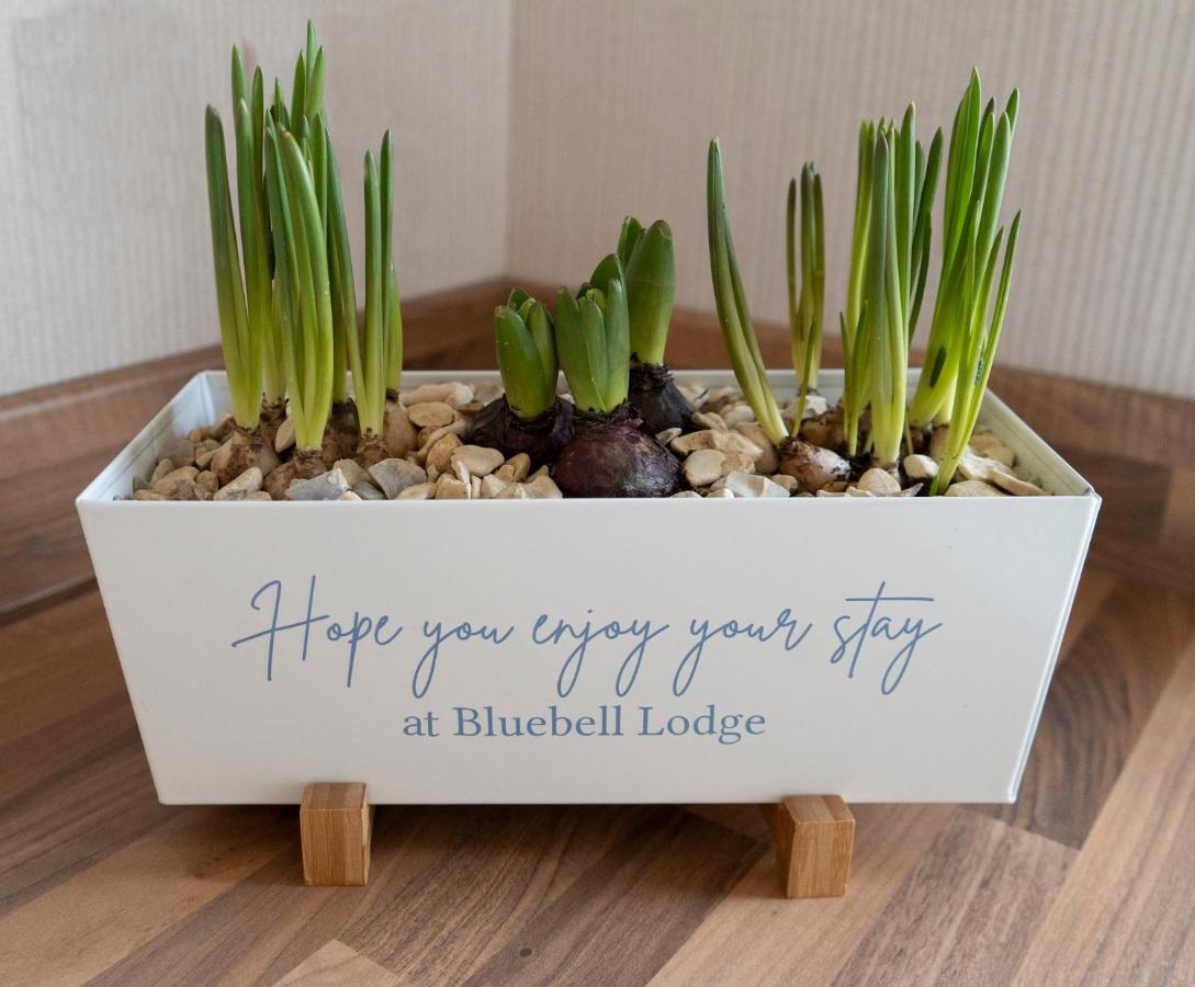Hollicarrs - Bluebell Lodge Riccall Buitenkant foto